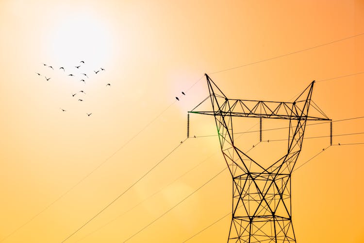 Flock Of Birds Flying Over An Electrical Tower