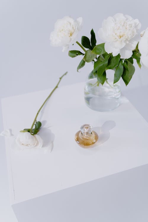 無料 ガラス花瓶, シャクヤク, フラワーズの無料の写真素材 写真素材