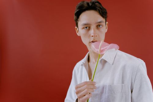 Free A young adult in a white shirt holding a pink anthurium against a red backdrop. Stock Photo