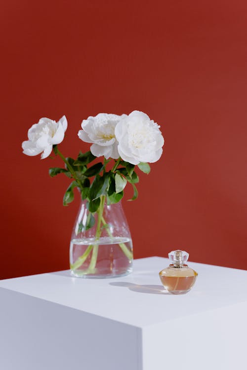 無料 ガラス花瓶, シャクヤク, フラワーズの無料の写真素材 写真素材