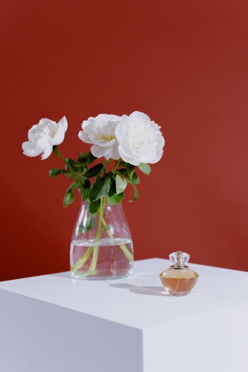 Free Elegant peonies in glass vase with perfume bottle against red backdrop, perfect for home decor themes. Stock Photo