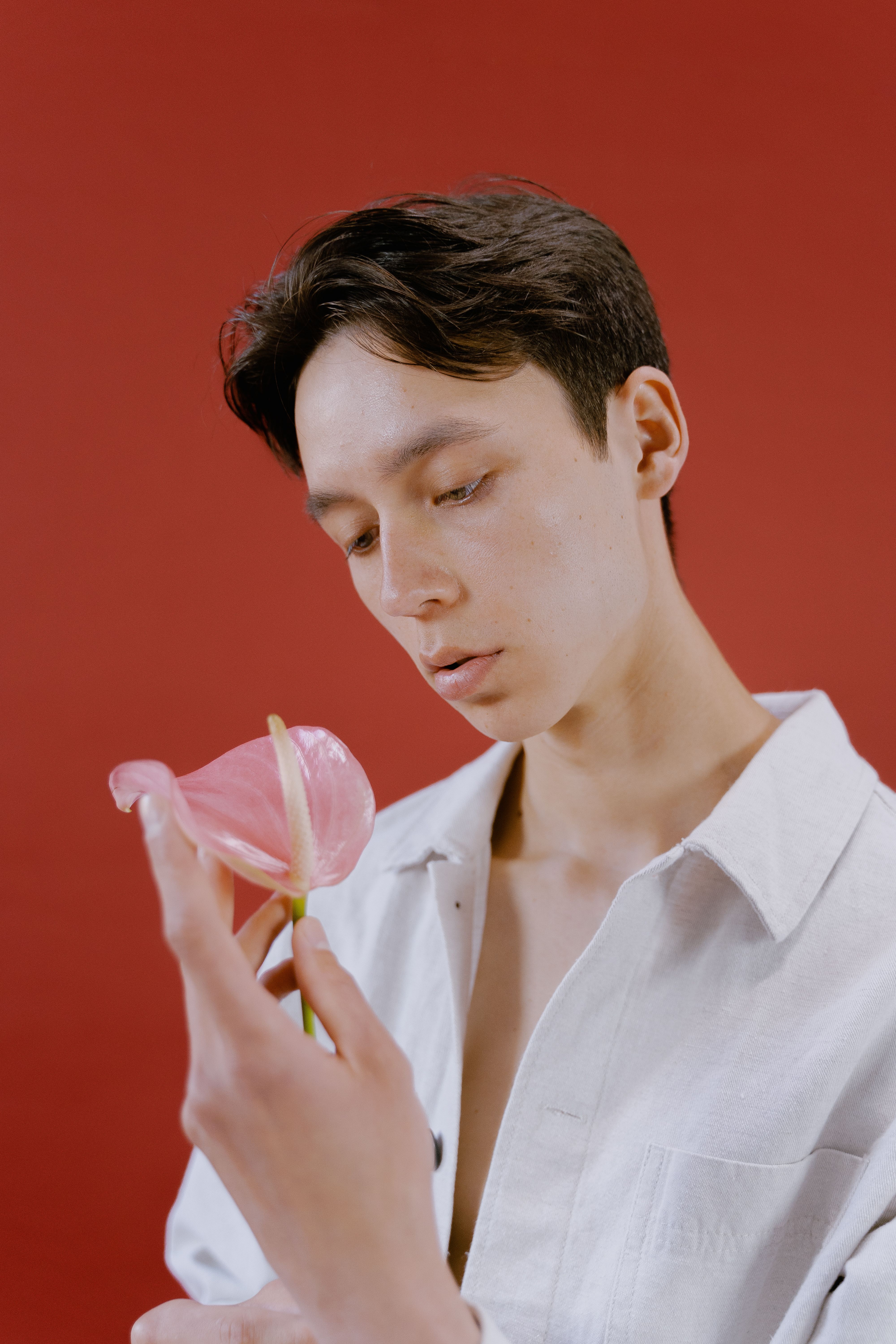 Young man in white shirt holding a pink anthurium against a red background.