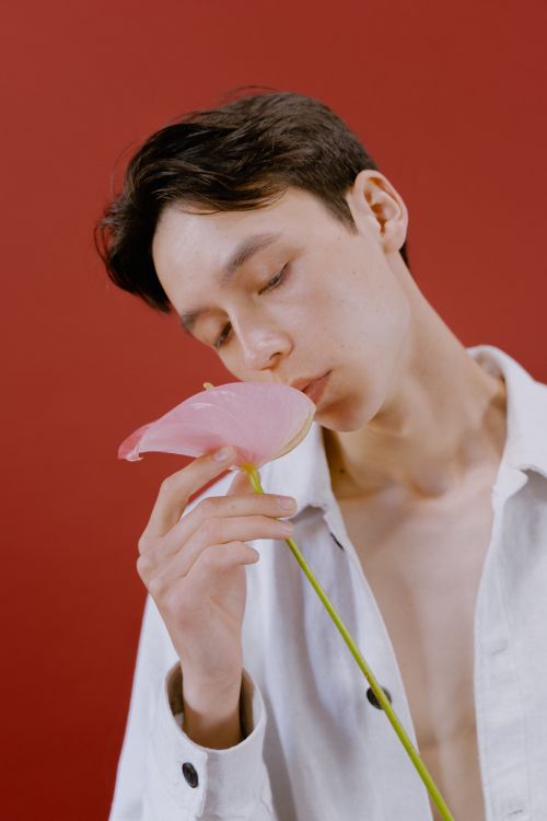 Free A young man in a white shirt enjoys the scent of a pink anthurium against a red background in a studio setting. Stock Photo