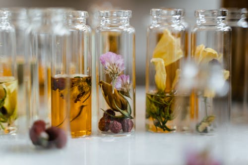 Free Clear Glass Bottles with Liquid and Dry Flowers Stock Photo