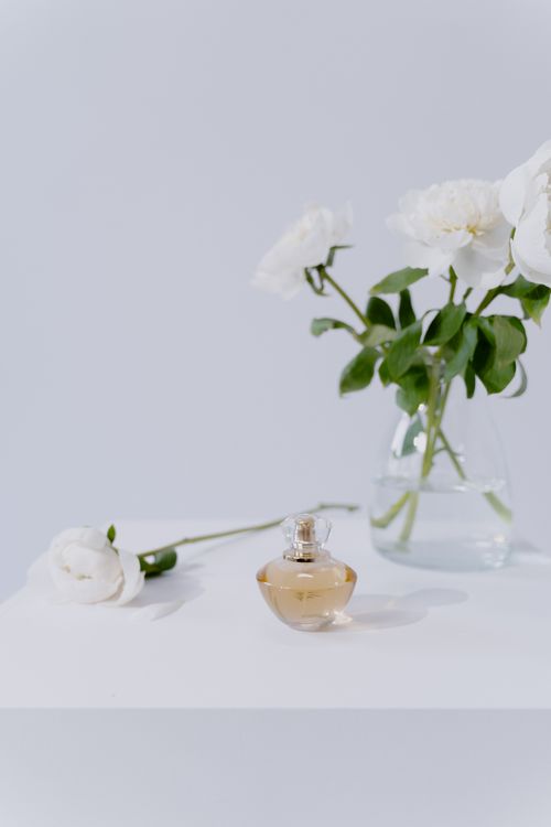 Free Minimalistic elegance with flowers and a perfume bottle on a white table. Stock Photo