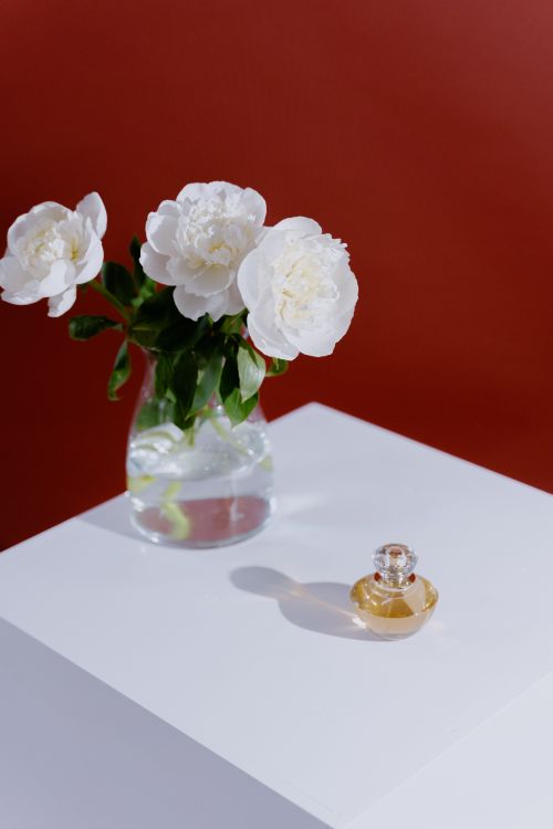 Free A chic still life with white flowers and a perfume bottle on a minimalist white surface. Stock Photo