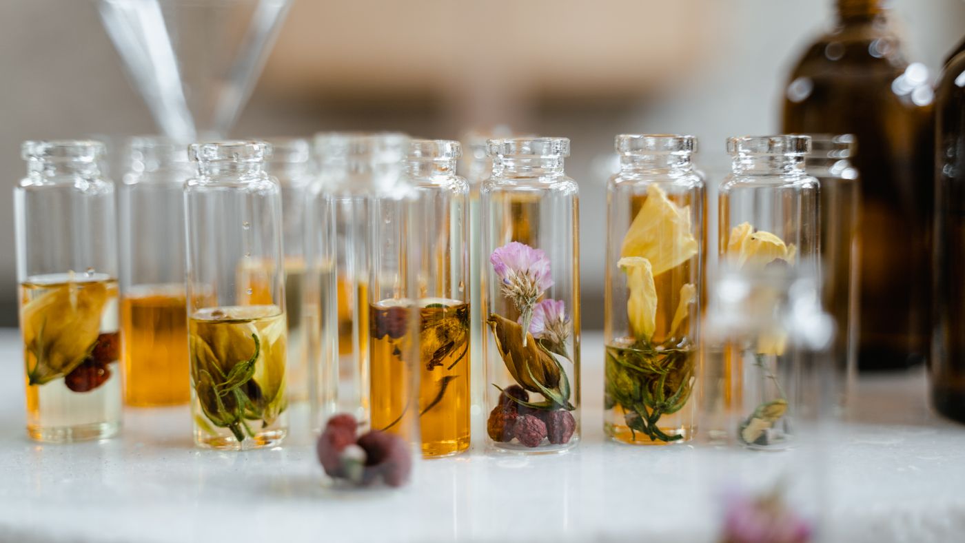 Herbs for Aging: What They Do and What to Watch For