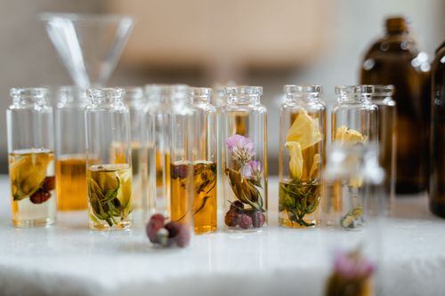 Free Collection of glass bottles with dried flowers and liquid, ideal for aromatherapy Stock Photo
