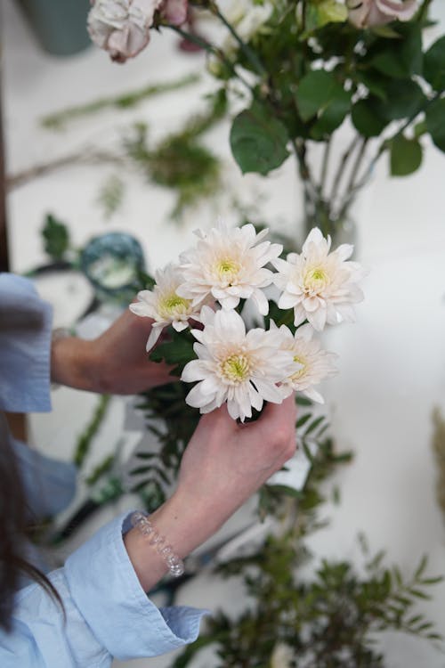 Foto d'estoc gratuïta de flors blanques, fulles, mans