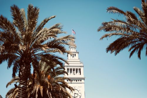 Free The iconic San Francisco Ferry Building with palm trees and a clear blue sky. Stock Photo