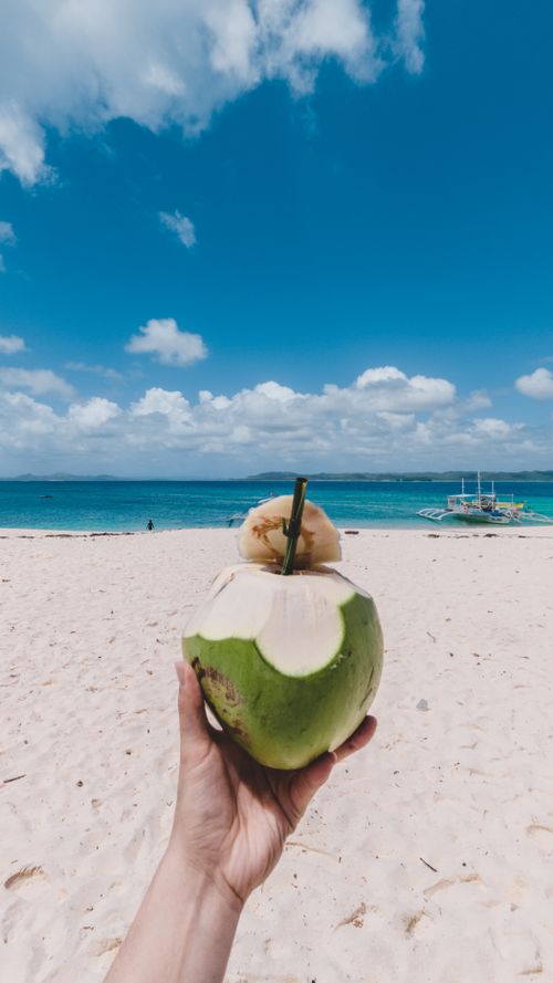 Free Hand holding fresh coconut water on a sandy beach in Caraga, Philippines, under a bright blue sky. Stock Photo