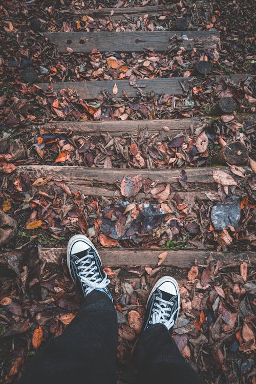 Person Standing on Wooden Steps in the Park