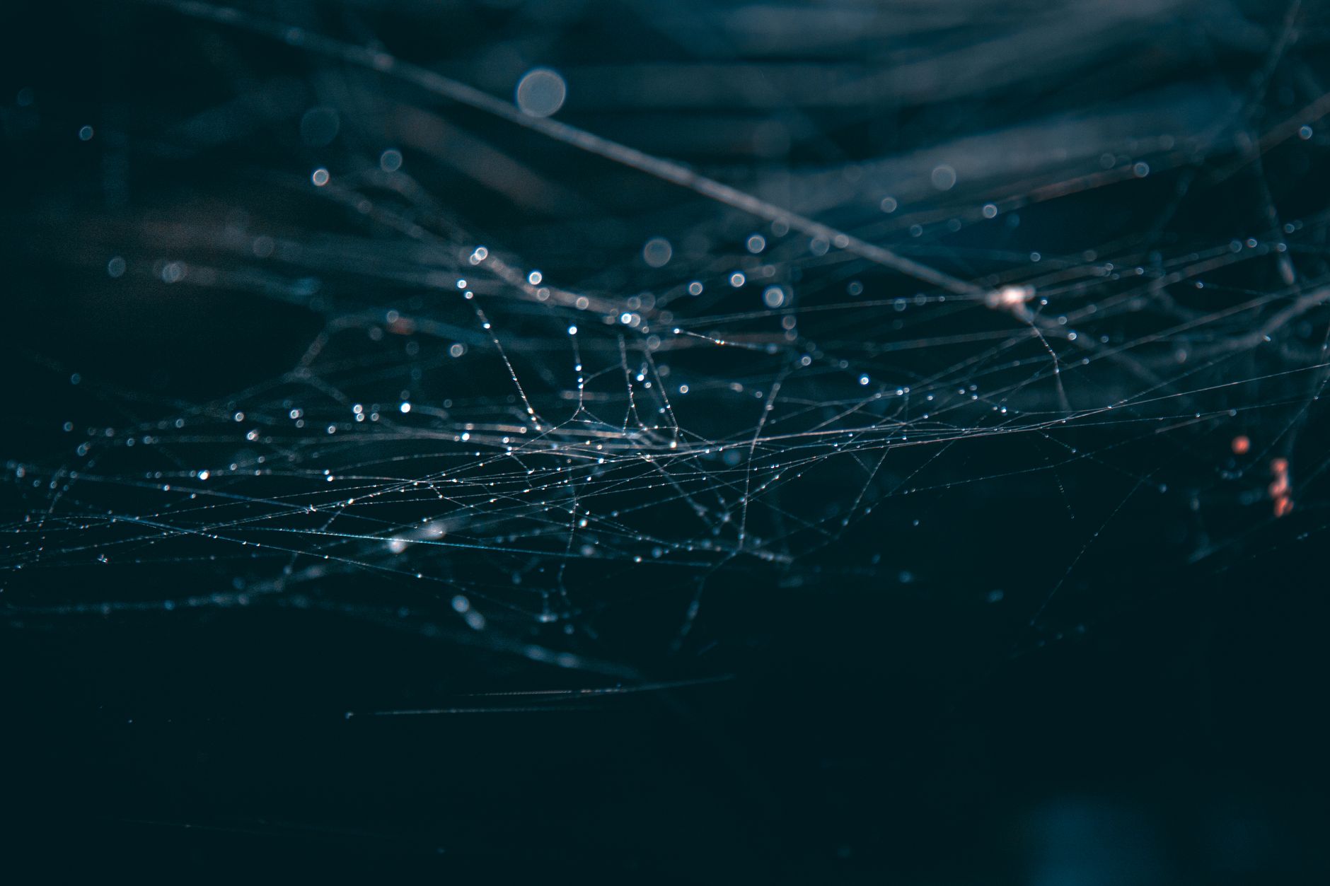 best web scraping api