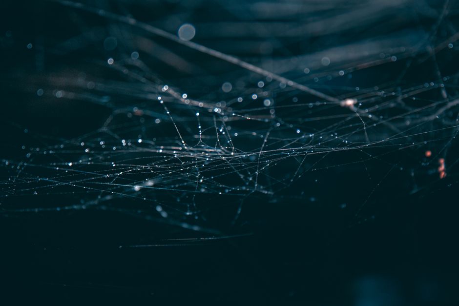How the Quantum Weave Works