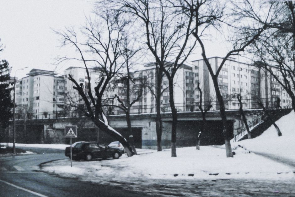 Black and white image of a winter street lined with trees and buildings.