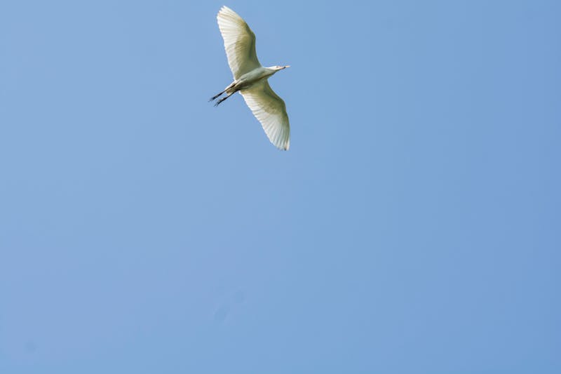 Pragmata’s Long Road: Trial, Error, and Breakthroughs Behind Capcom’s Sci-Fi Shooter 2 Gamer holding a game controller, focused in gameplay