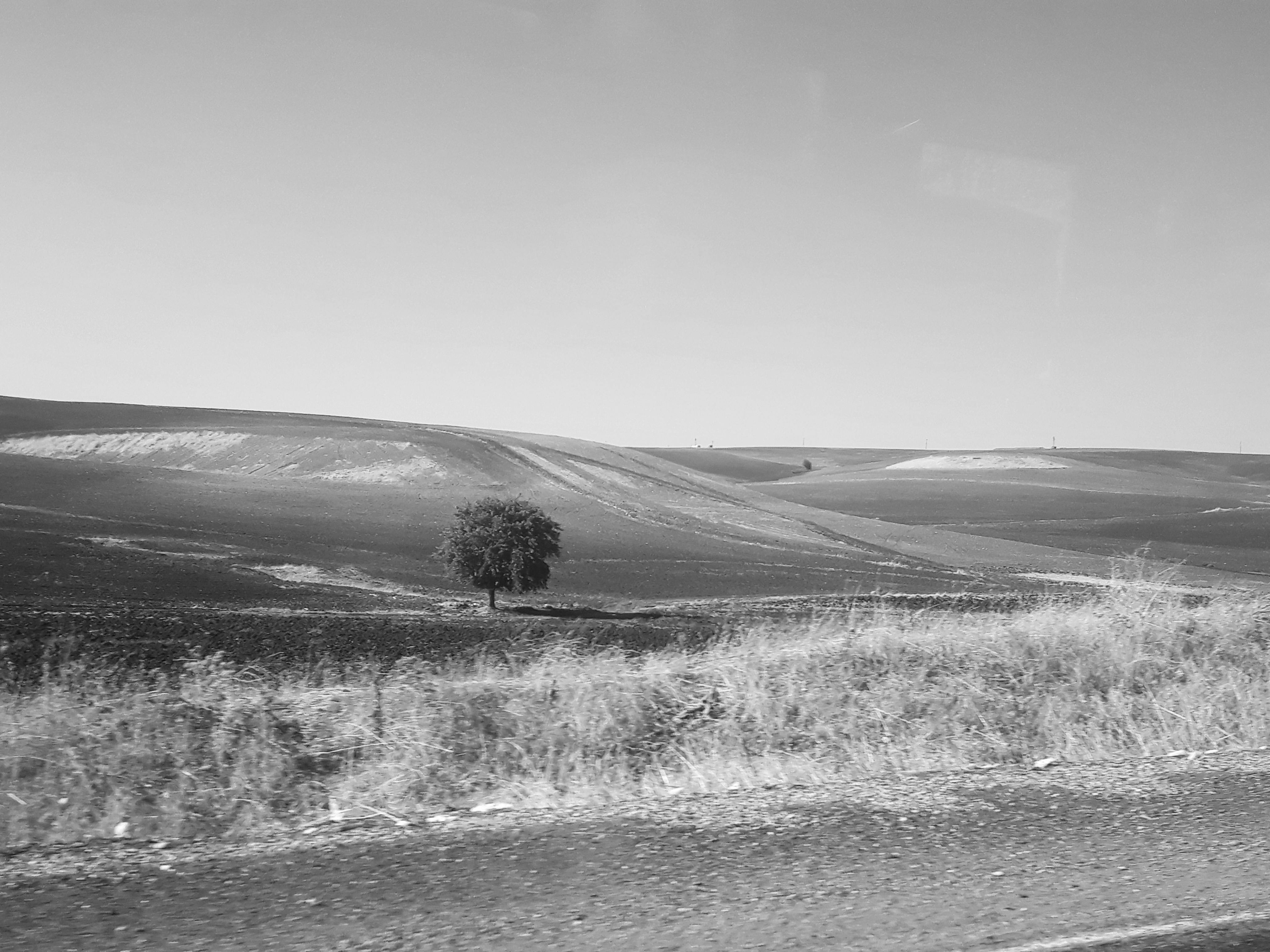 Freundlicher Immobilienmakler im Gespräch mit Kunden