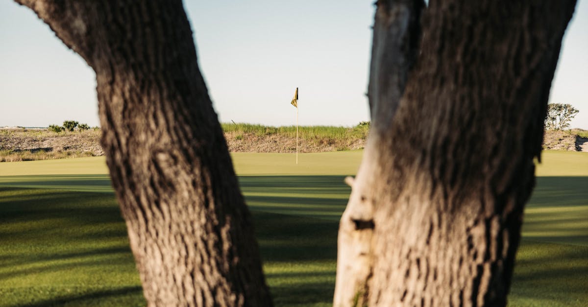 DP World Tour's Opening Swing: Four Winners, Five Events, Three Countries