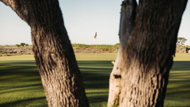 Luxury mountain golf resort with pine tree fairways