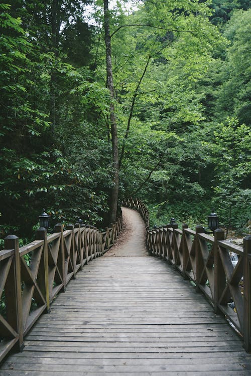 Wooden Footbridge