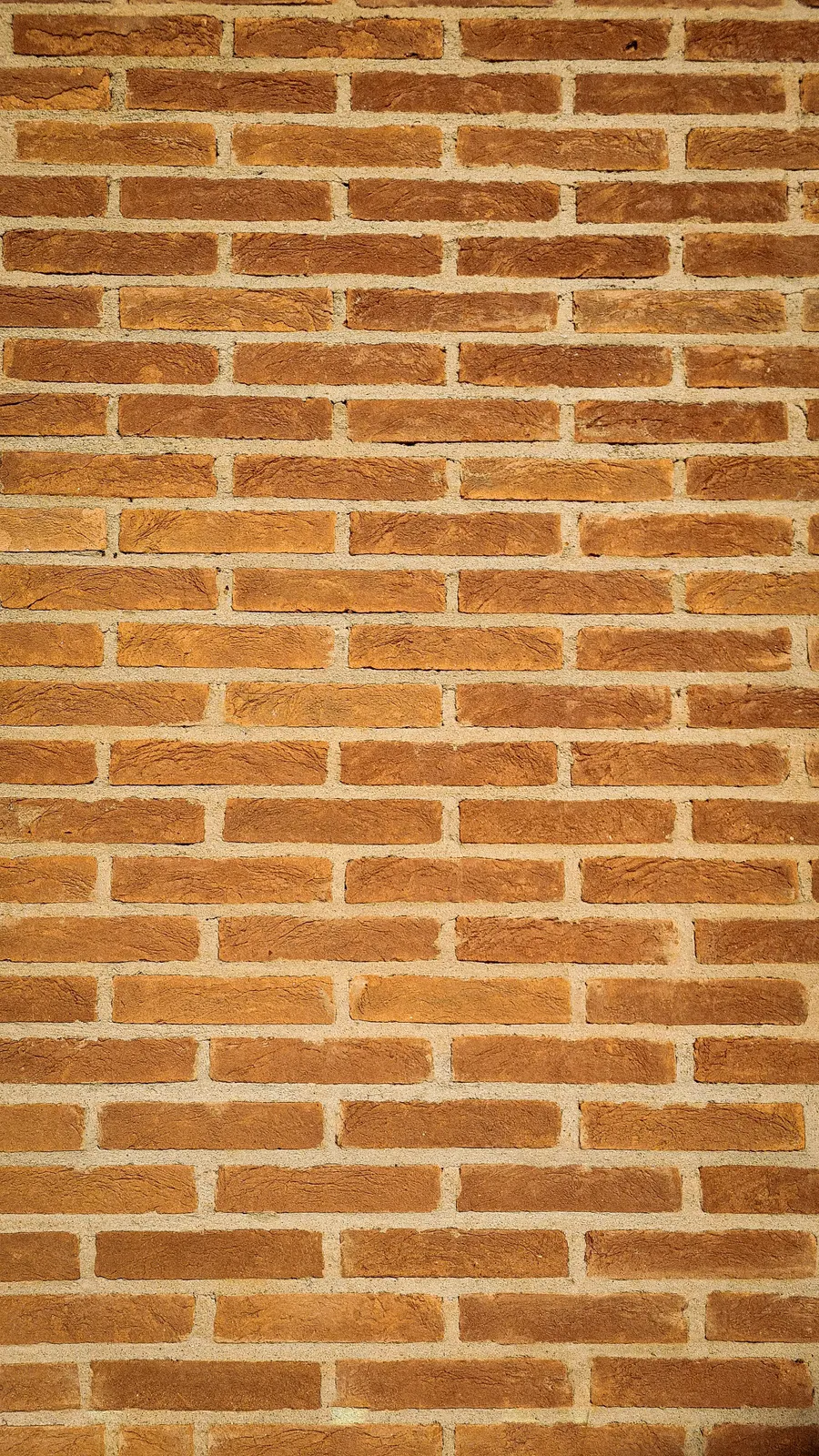 Mur en briques réalisé par un maçon