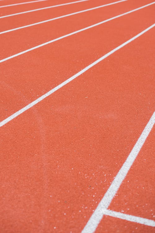 Rubber Floor of a Track and Field