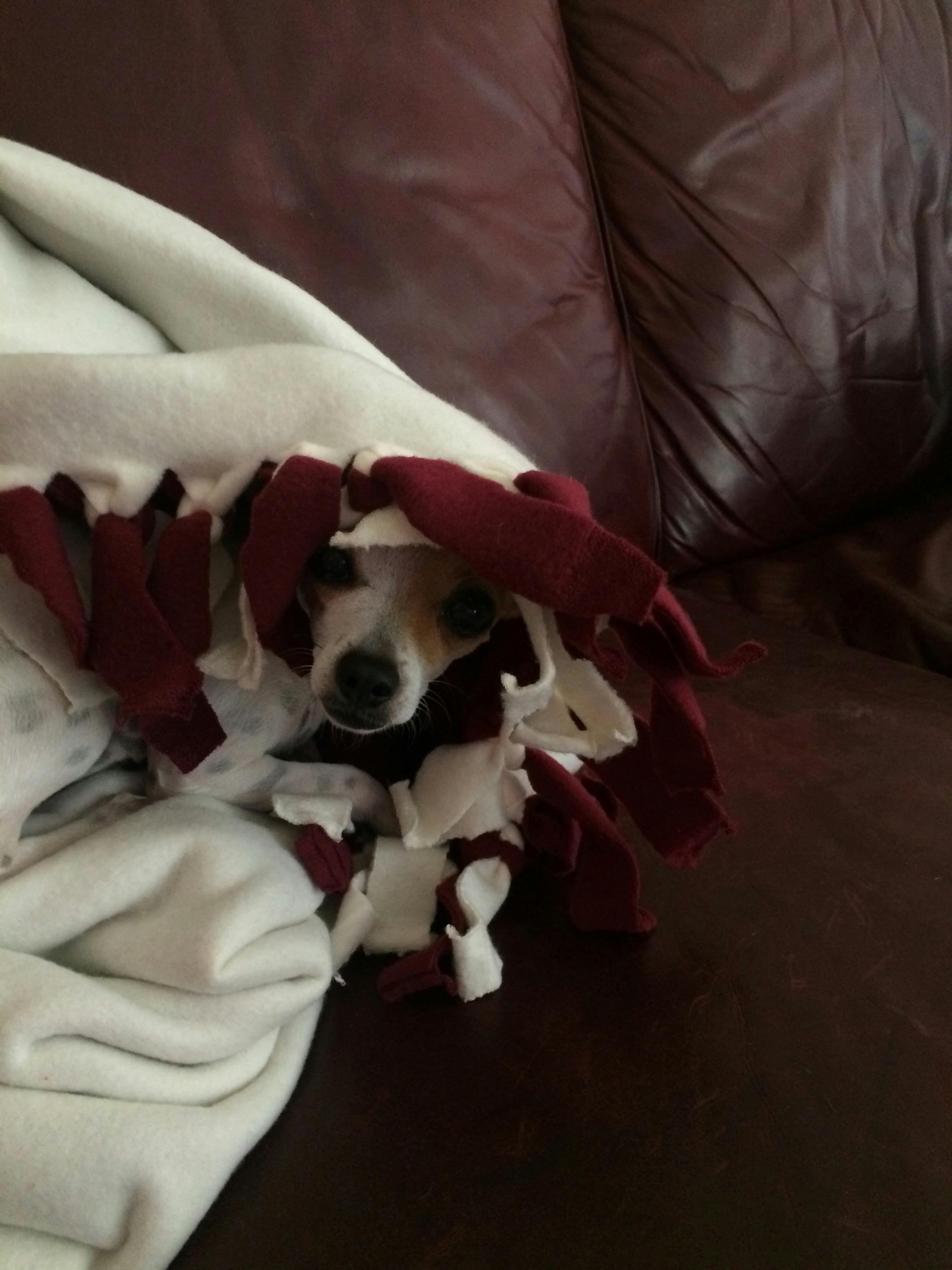 תמונה של לק ג'ל עדין בצבע כחול