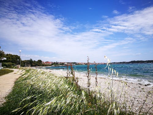 คลังภาพถ่ายฟรี ของ ชายหาด, ท้องฟ้า, ทะเล