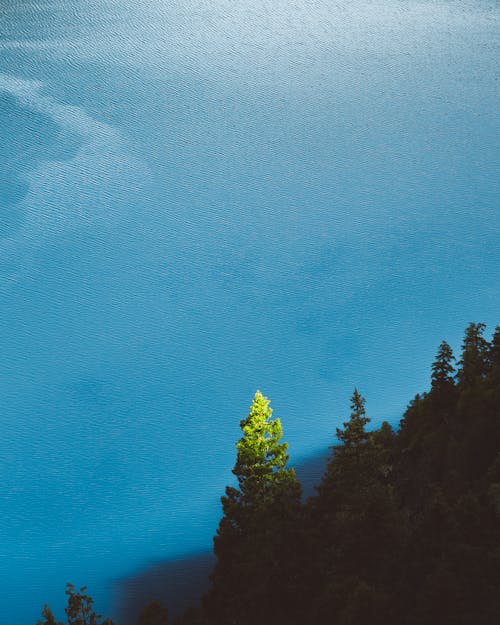 Gratis lagerfoto af blå baggrund, blå sø, blåt vand Lagerfoto