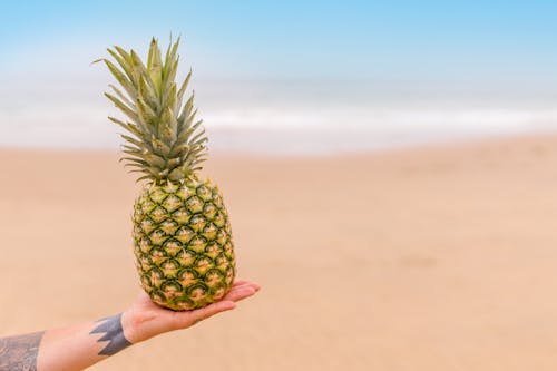 Free A Person Holding a Pineapple Fruit Stock Photo