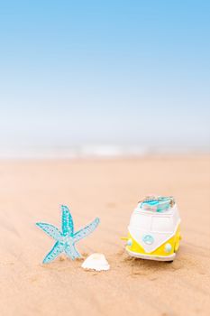 starfish photo