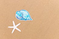 沙滩上的海星和插图贝壳的顶视图，非常适合海滩主题项目
