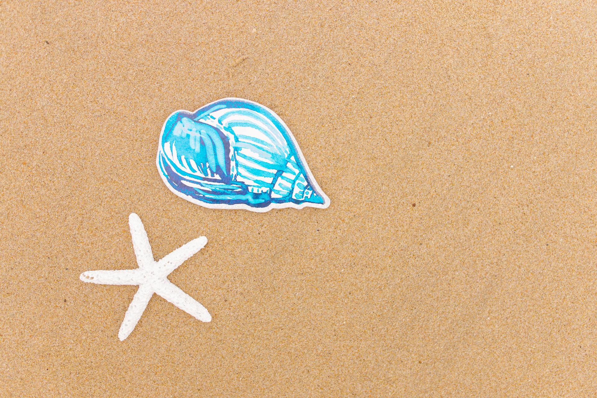 Top view of starfish and illustrated shell on sand, perfect for beach-themed projects.