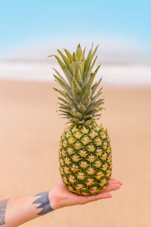 Pineapple on Person's Hand