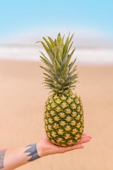 A pineapple held in hand against a tropical beach background with blue sky.