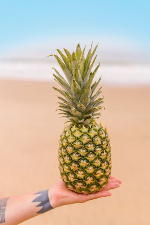 Free A pineapple held in hand against a tropical beach background with blue sky. Stock Photo