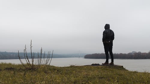 Free stock photo of grasslands, landscape, misty