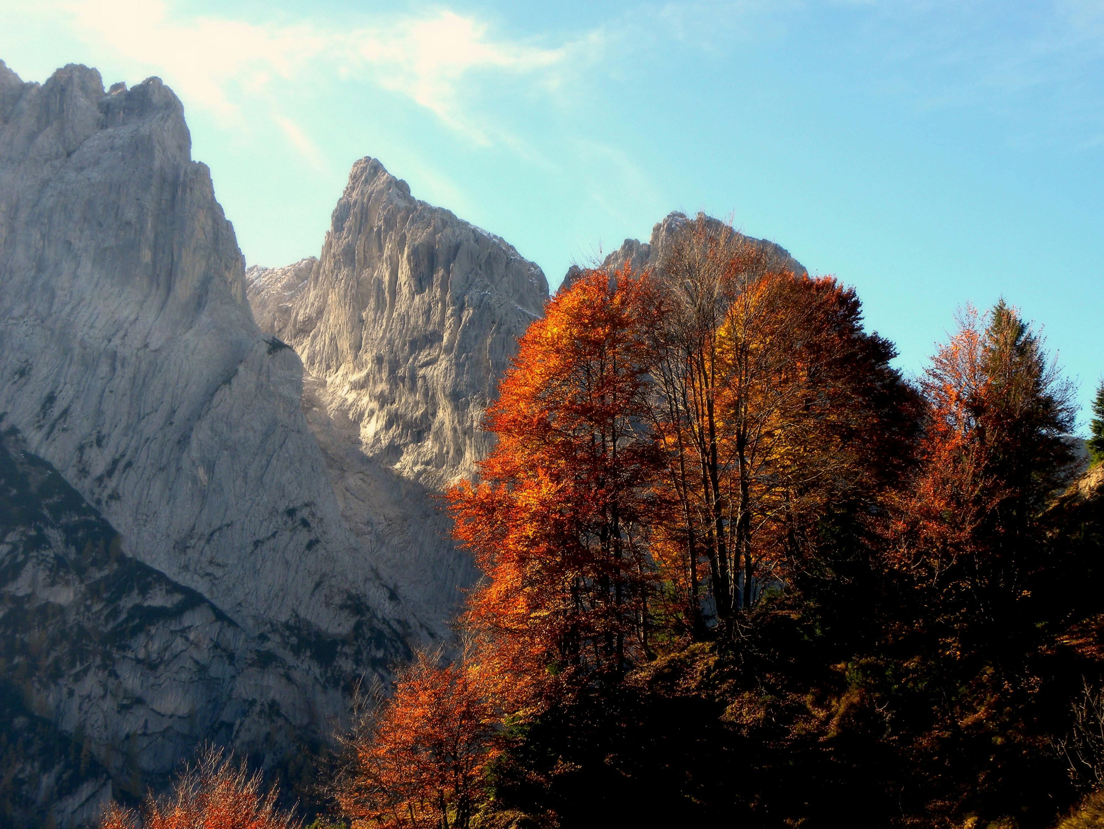 Free stock photo of autumn, colors of autumn, mountains