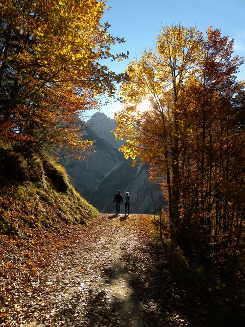 Free A couple enjoys a peaceful hike on a sunlit autumn trail in Kitzbühel, Austria. Stock Photo