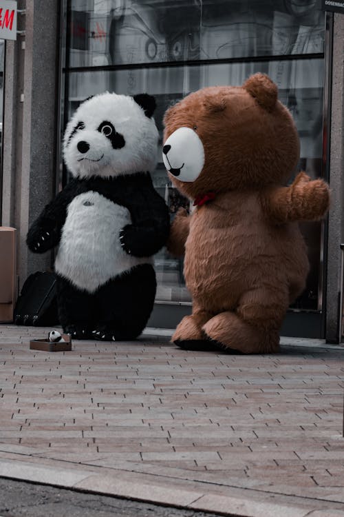 panda bear wallpaper