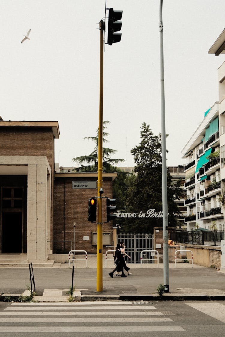 Street Zebra Crossing