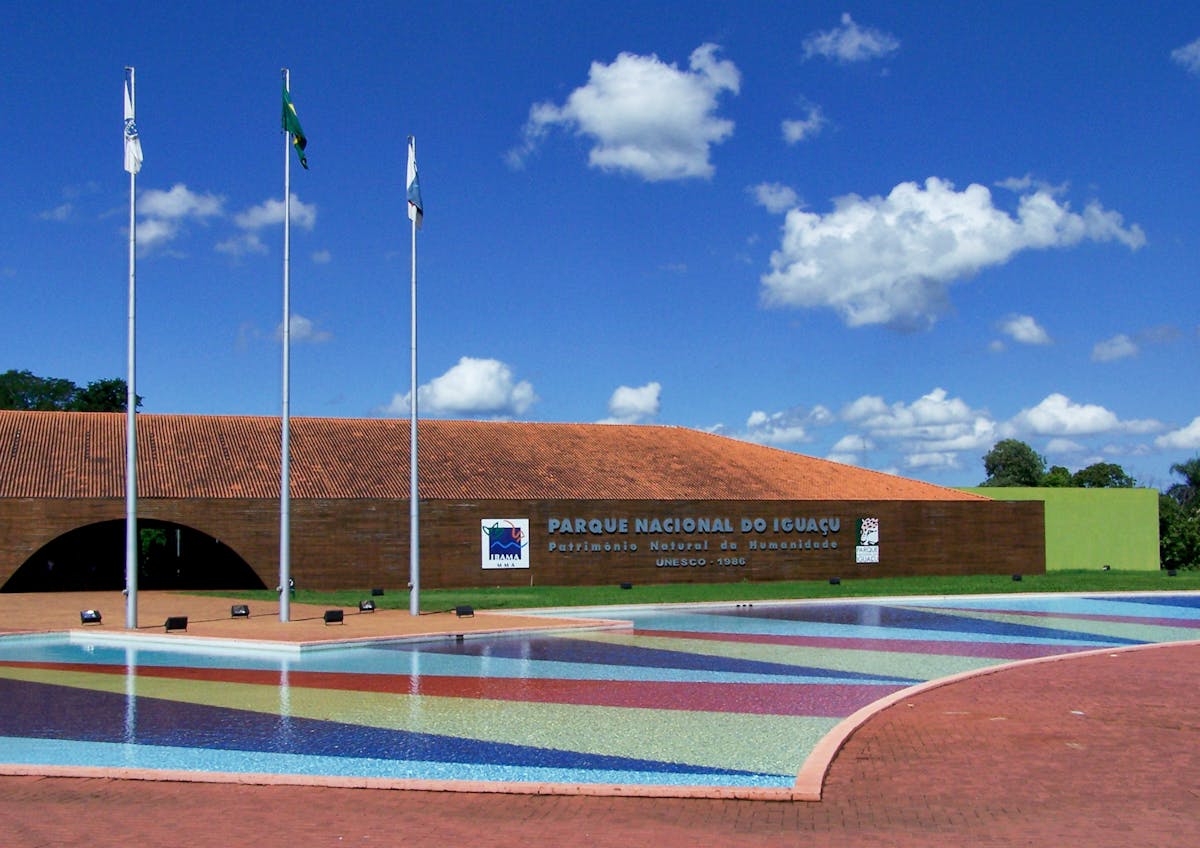 Person preparing a healthy meal with vegetables and grains in a bright kitchen