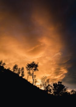 Silhouetted trees against a dramatic sunset sky in Portuguese countryside.