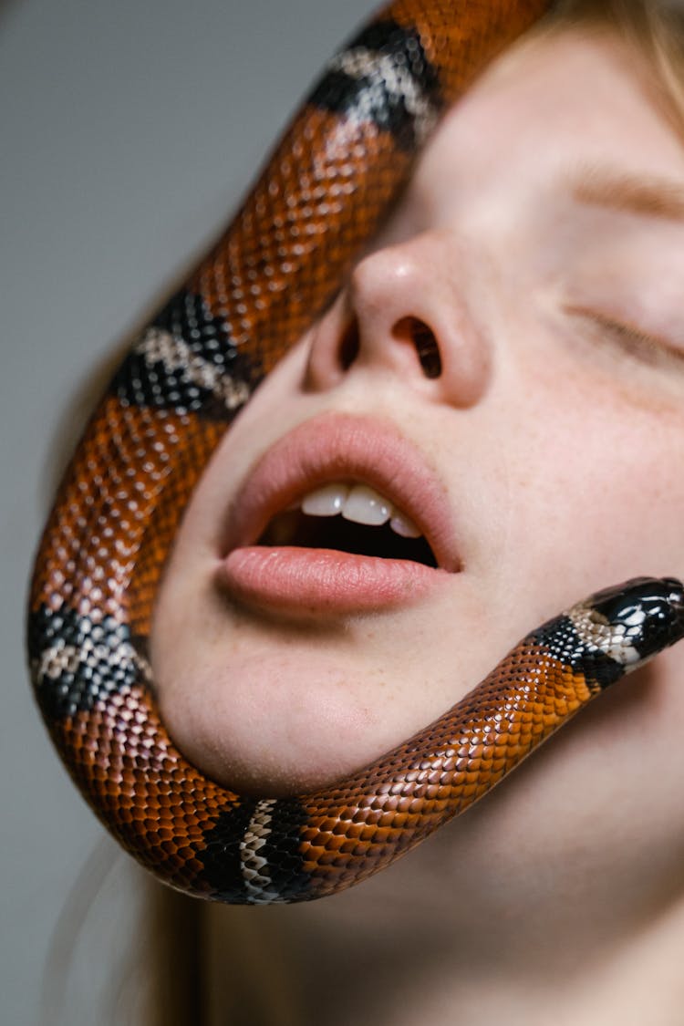 Close-Up Photo Of A Snake On A Woman's Face