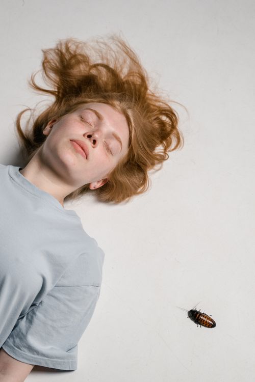 Free A woman lies peacefully indoors next to a Madagascar hissing cockroach. Stock Photo