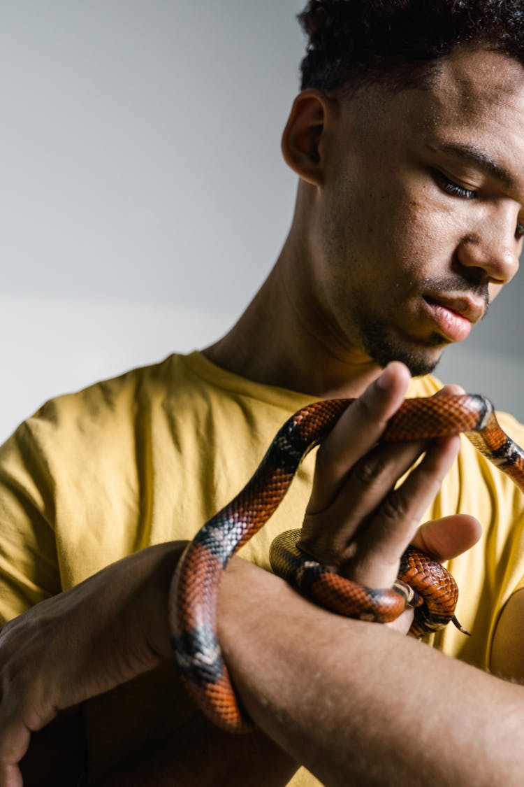 A Man Overcoming His Fear Of Snakes