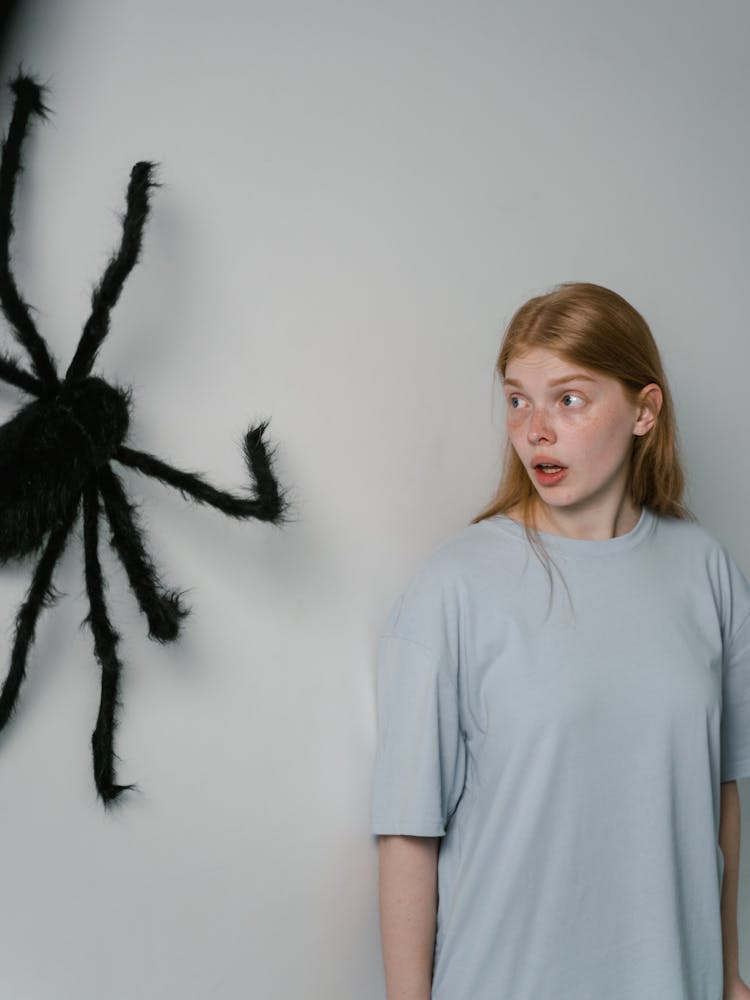 A Woman Afraid Of Big Spider Hanging On A Wall