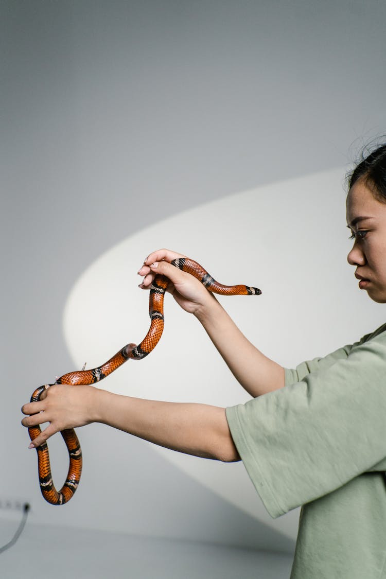 A Woman Overcoming Her Fear Of Snakes