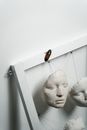 A Madagascar Hissing Cockroach near the Face Sculptures