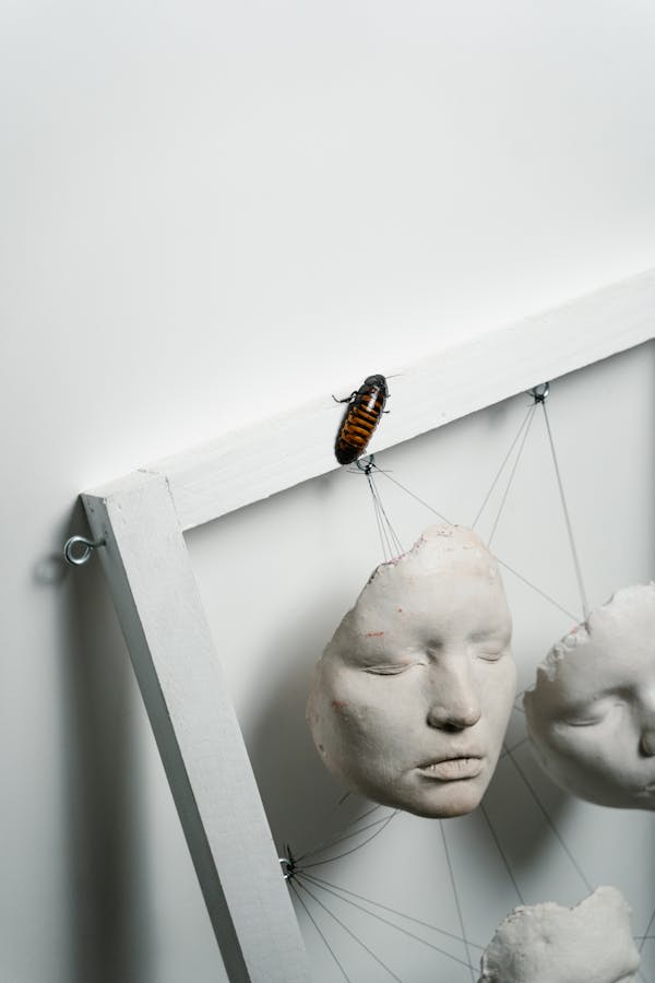 A Madagascar Hissing Cockroach near the Face Sculptures